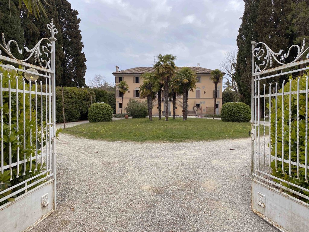 Immagine prodotto 3