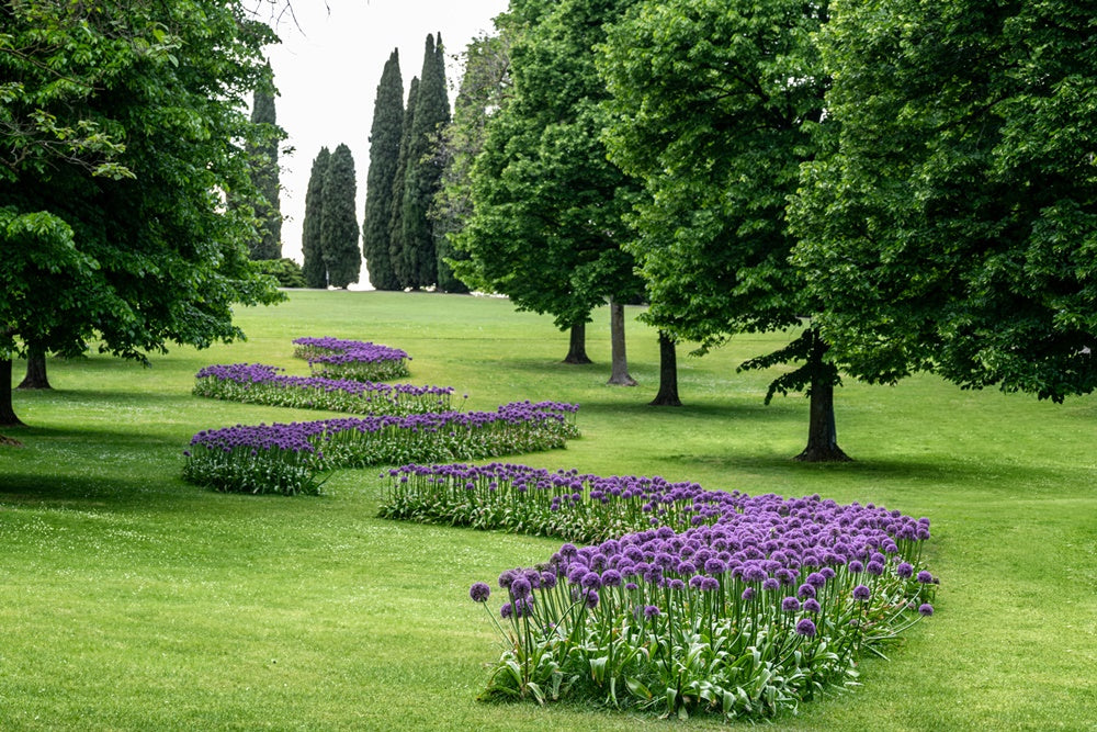 Immagine prodotto 5