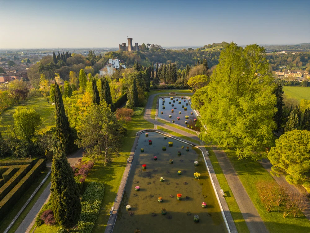 Immagine prodotto 7